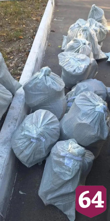 Саратовец вырубил более 100 деревьев ради дров для гаража