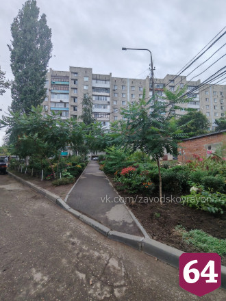 В саратовском дворе нашли «райские кущи»