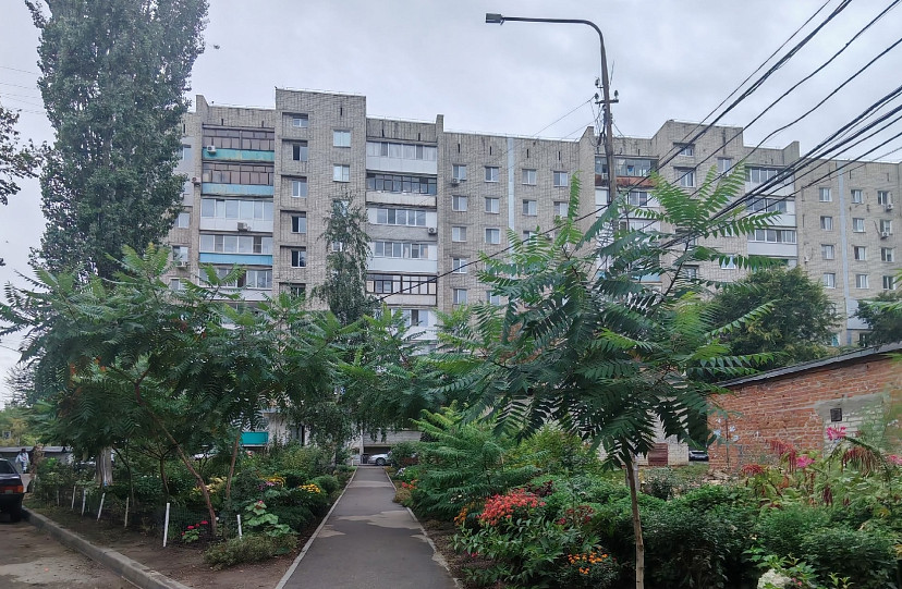В саратовском дворе нашли «райские кущи»
